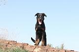 BEAUCERON 188